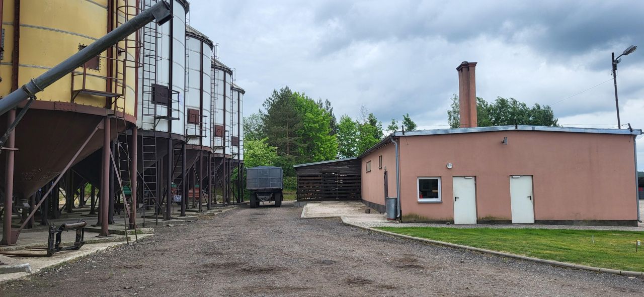 Działka siedliskowa Rychnowo. Zdjęcie 18