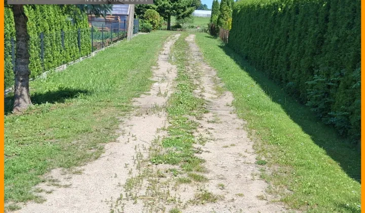 Działka rolna Rudzienice