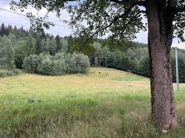 Działka budowlana Nowa Morawa. Zdjęcie 3