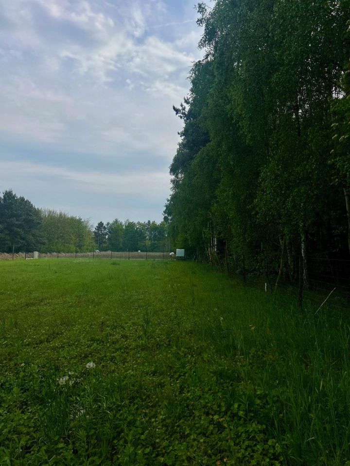 Działka budowlana Biedaszków Wielki, Biedaszków Wielki. Zdjęcie 8