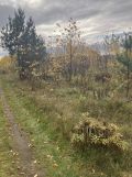 Działka rolna Łódź Widzew, ul. Bakaliowa. Zdjęcie 2