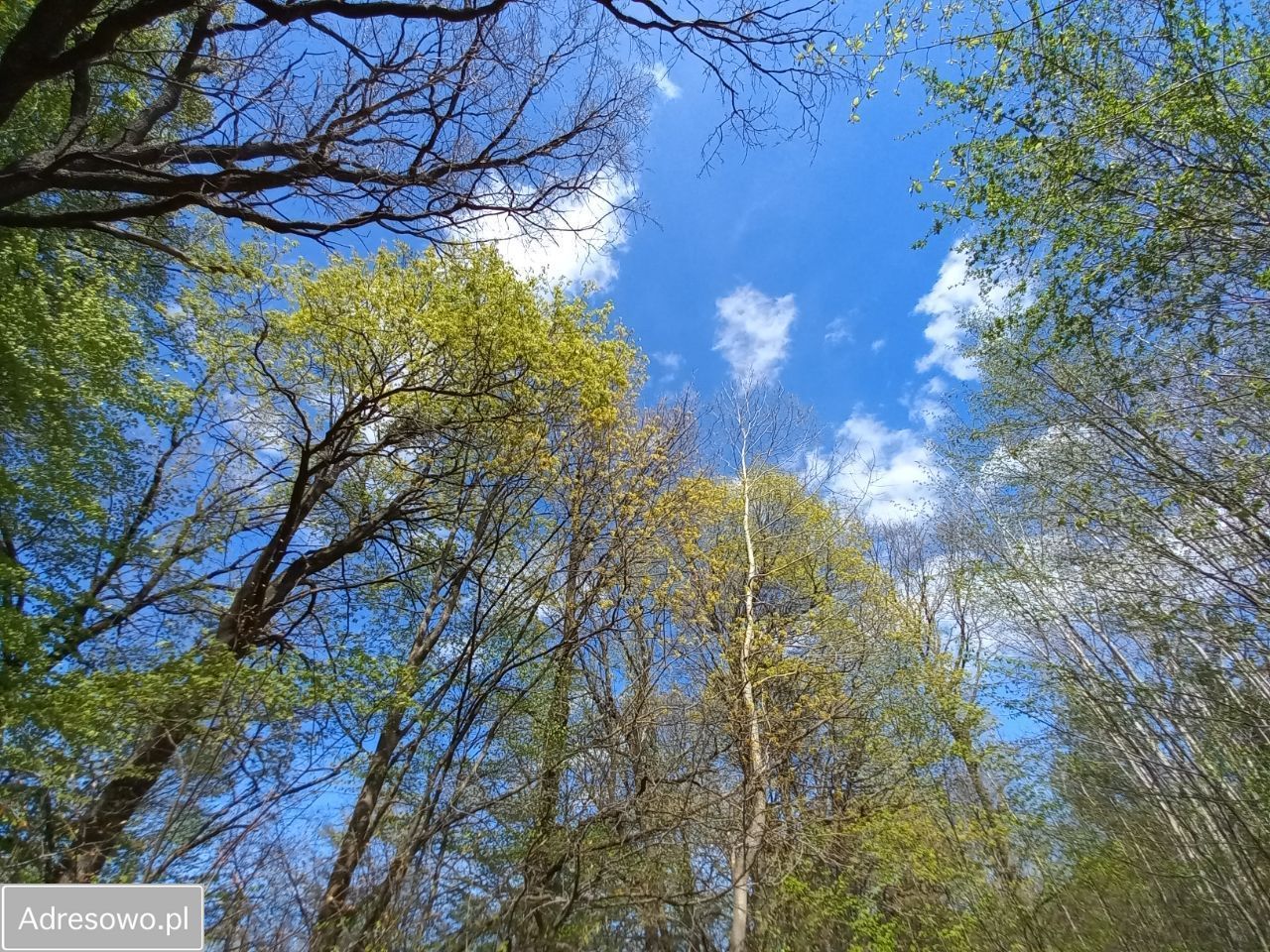 Działka rolna Niebrzydowo Wielkie. Zdjęcie 2