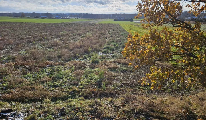 Działka budowlana Grodziszcze