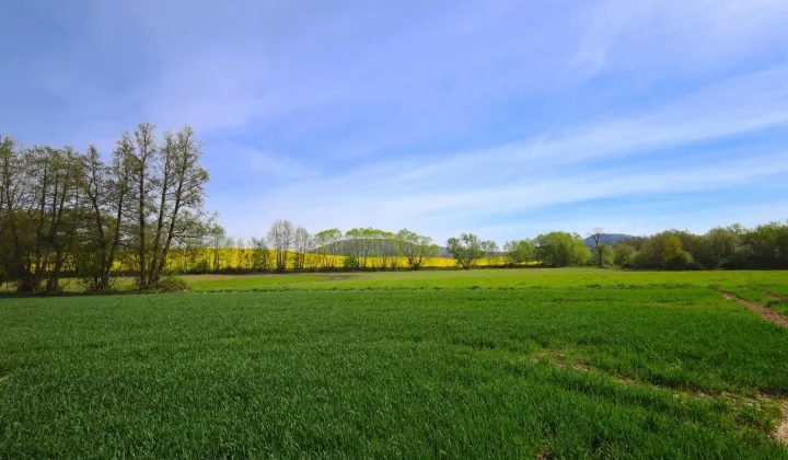 Działka siedliskowa Wiry