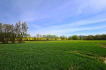 Działka siedliskowa Wiry