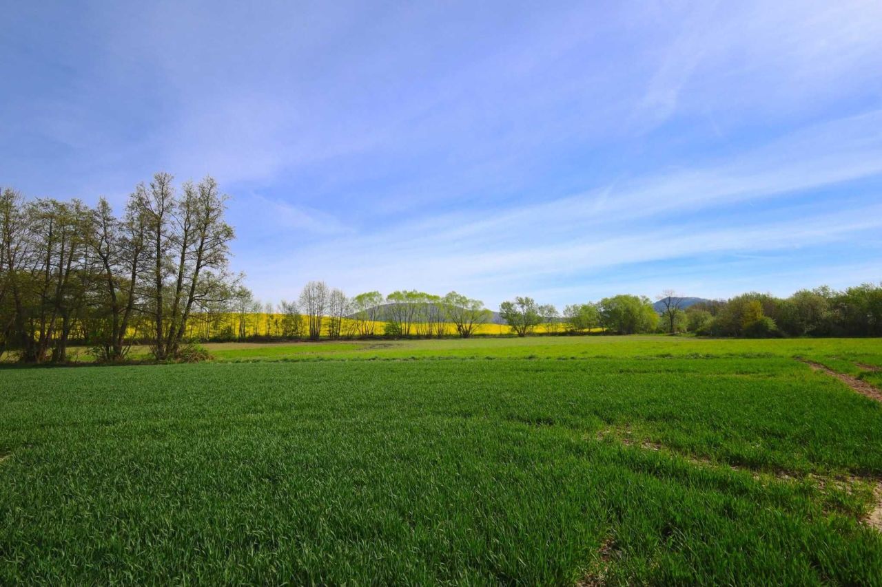 Działka siedliskowa Wiry