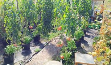 dom wolnostojący Mrągowo