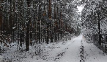 Działka rekreacyjna Cyganówka