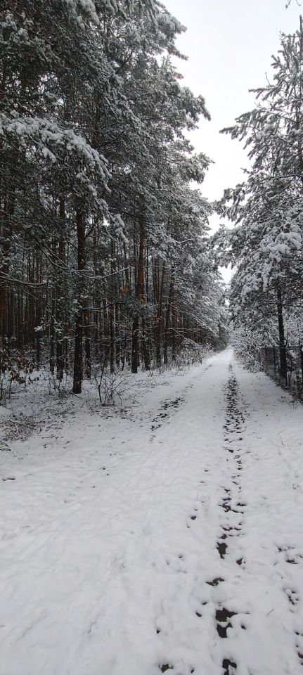 Działka rekreacyjna Cyganówka. Zdjęcie 2