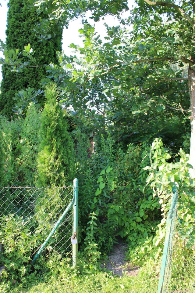 Działka rod Piła, ul. Koszycka. Zdjęcie 8