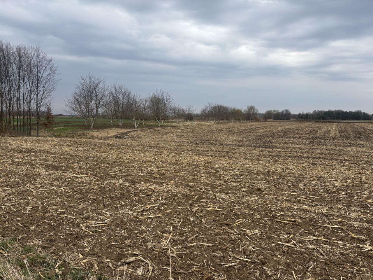 Działka rolna Koniaczów. Zdjęcie 11