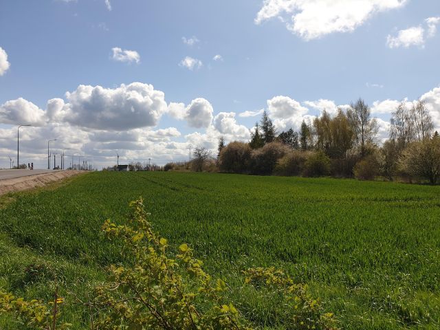 Działka siedliskowa Ustronie Morskie, ul. Ku Słońcu. Zdjęcie 1