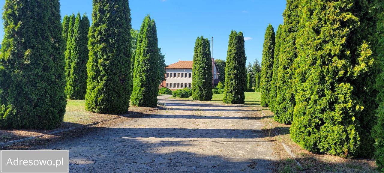 Nieruchomość komercyjna Adamów, ul. Targowa. Zdjęcie 7