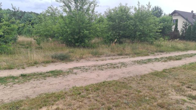 Działka rekreacyjna Anielin. Zdjęcie 1