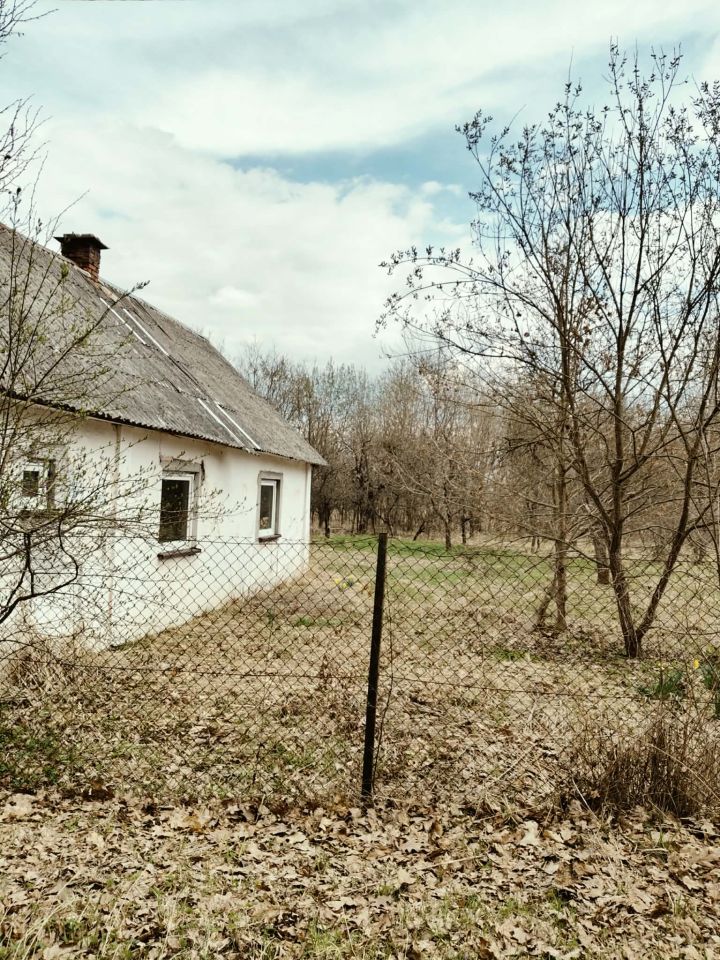 Działka rolno-budowlana Dąbrowa Tarnawacka. Zdjęcie 3