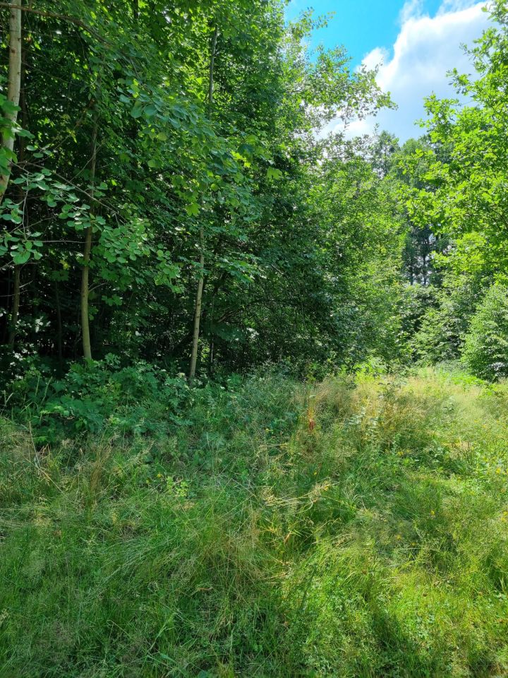 Działka budowlana Bielsko-Biała, Wawelska/Deszczowa. Zdjęcie 16