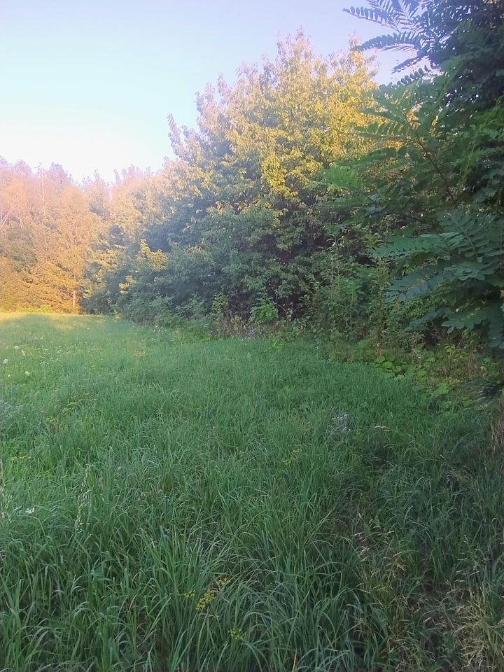 Działka budowlana Stopnica, ul. Polna. Zdjęcie 4