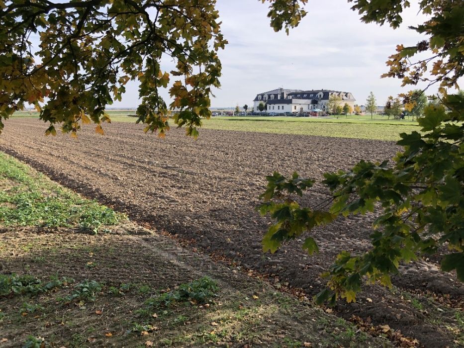 Działka inwestycyjna Komorno, ul. Główna. Zdjęcie 4