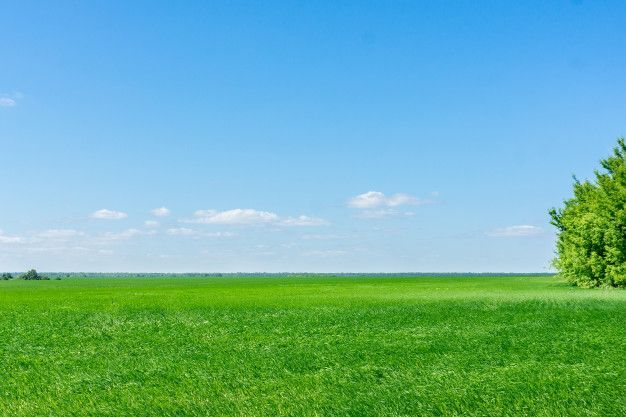 Działka budowlana Opole Grudzice. Zdjęcie 1