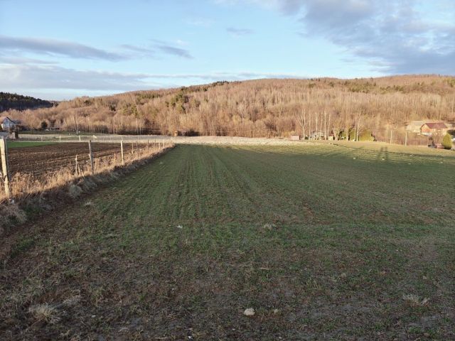 Działka rolna Połomia. Zdjęcie 1