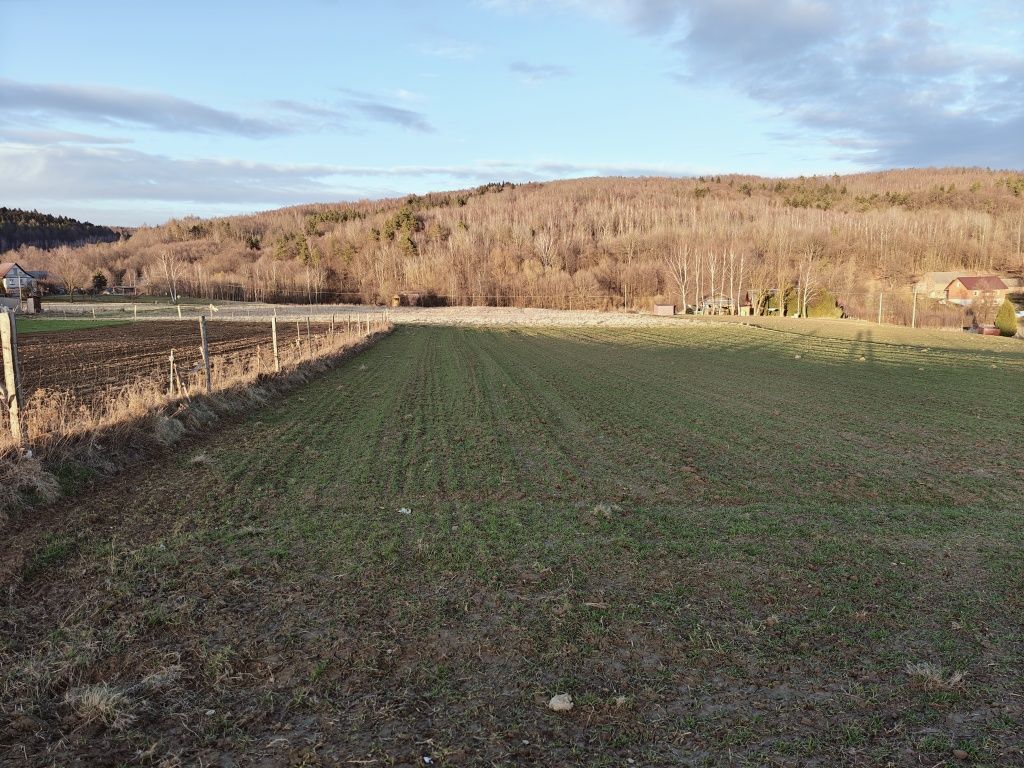 Działka rolna Połomia