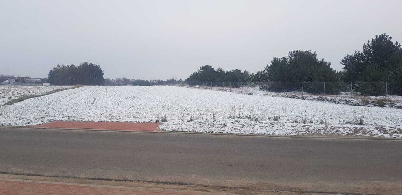 Działka budowlana Cielcza, ul. Leśna. Zdjęcie 2