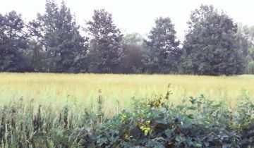 Działka budowlana Słubica Dobra, ul. Graniczna