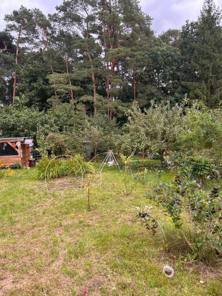 Działka rod Debrzno, ul. Gronowska. Zdjęcie 3