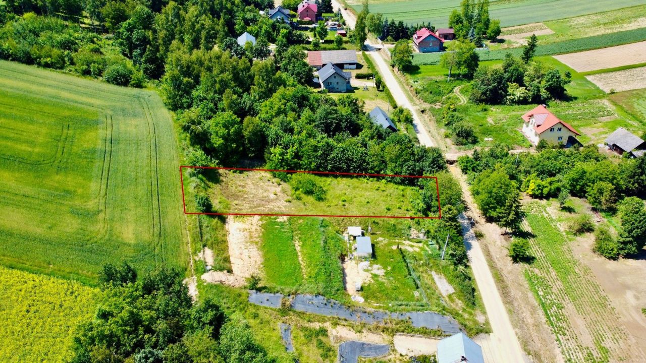 Działka rolno-budowlana Pałecznica