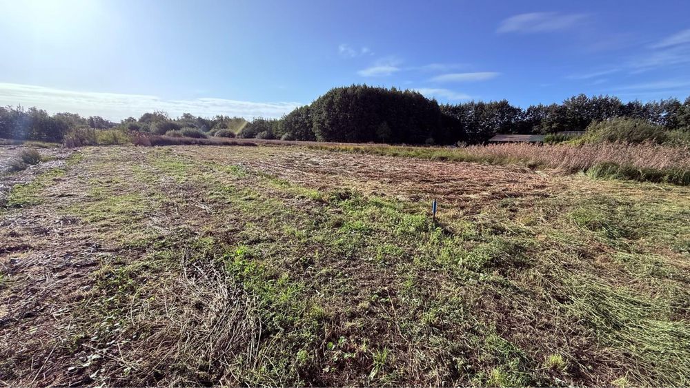 Działka budowlana Boszkowo. Zdjęcie 2