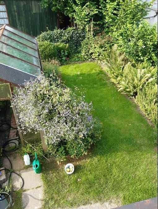 Działka rod Słupsk, al. 3 Maja. Zdjęcie 6