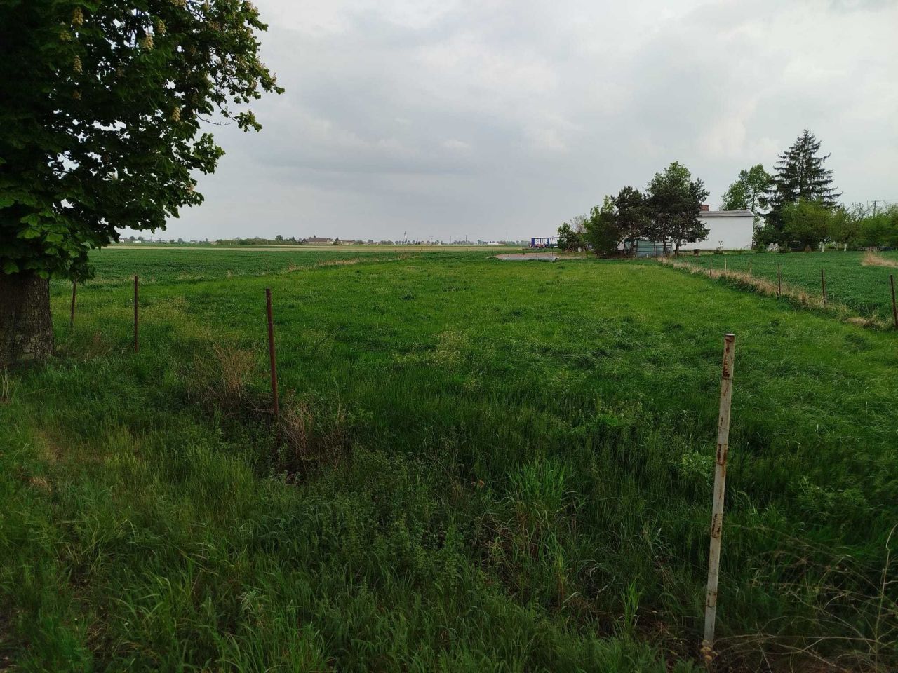 Działka budowlana Szymborno. Zdjęcie 3