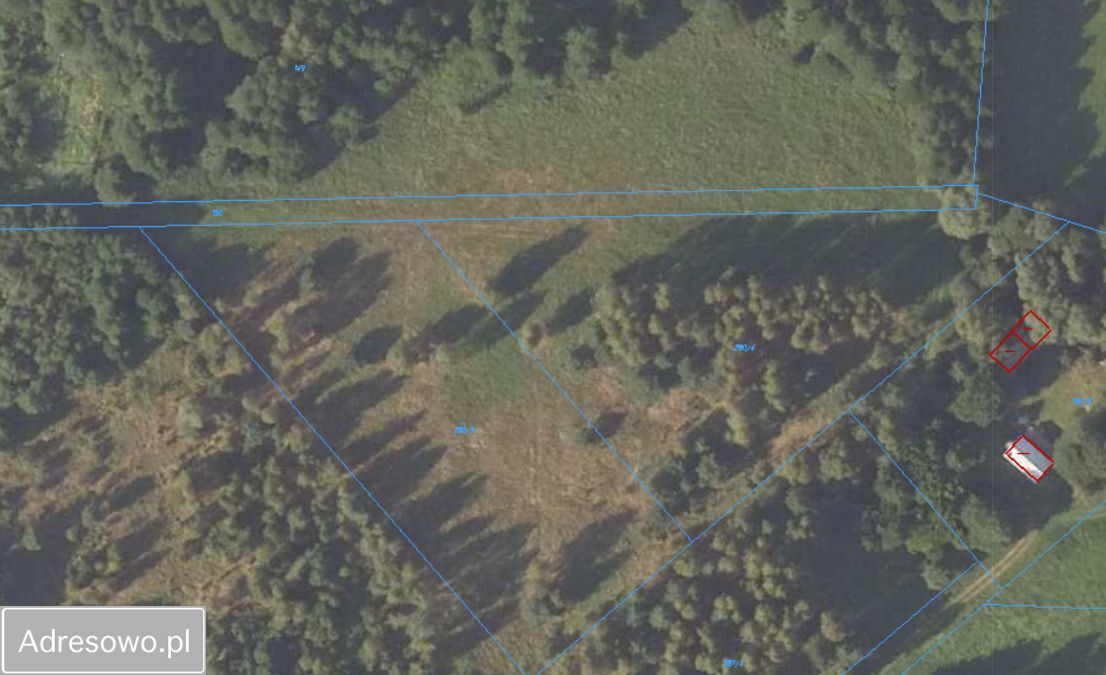 Działka siedliskowa Łubniki. Zdjęcie 6