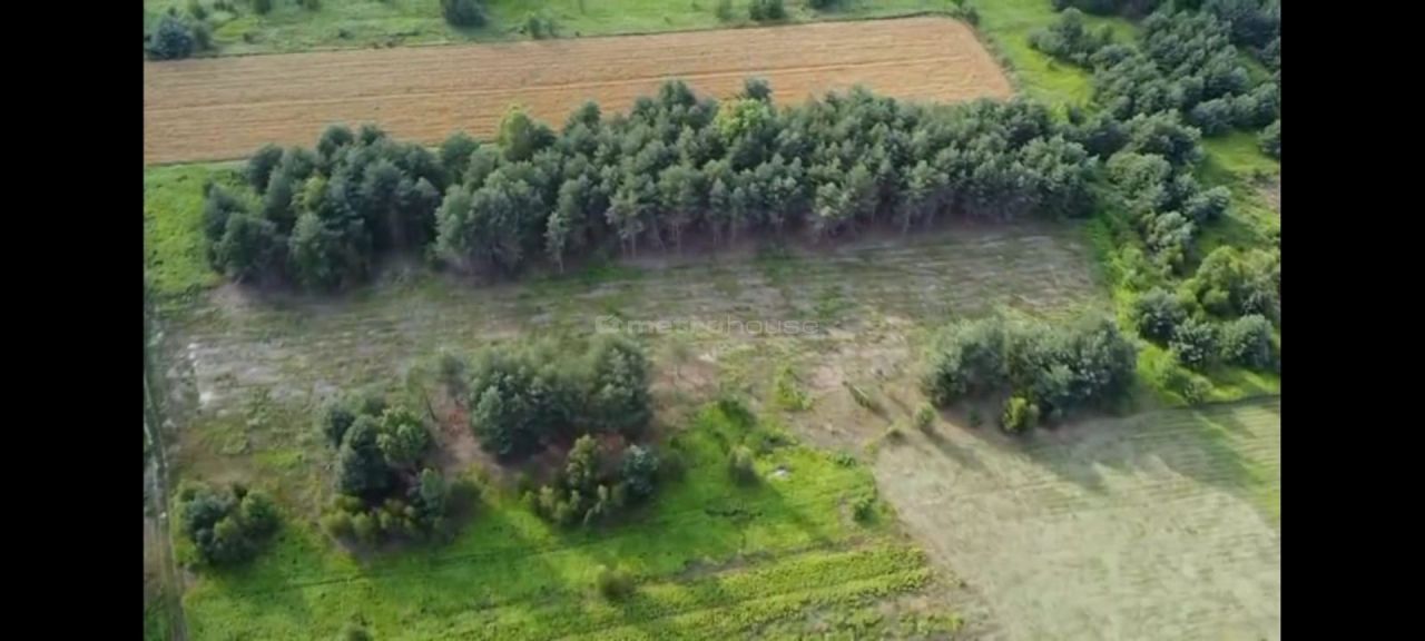 Działka rolna Klembów. Zdjęcie 4