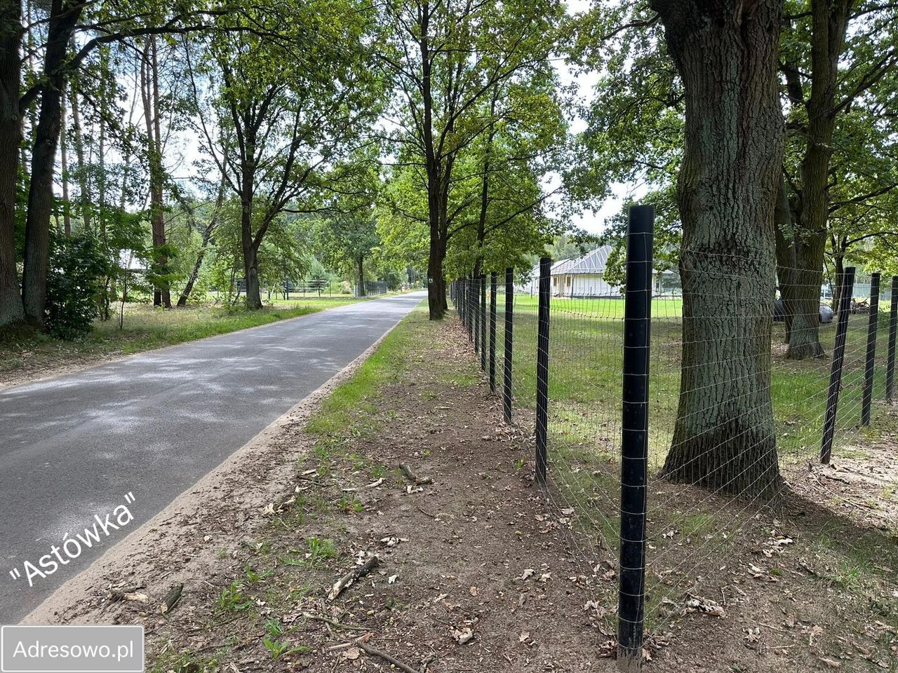 Działka budowlana Chojniki. Zdjęcie 4