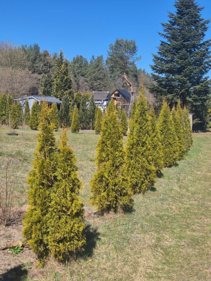 Działka rod Lębork, ul. Drętowo. Zdjęcie 6