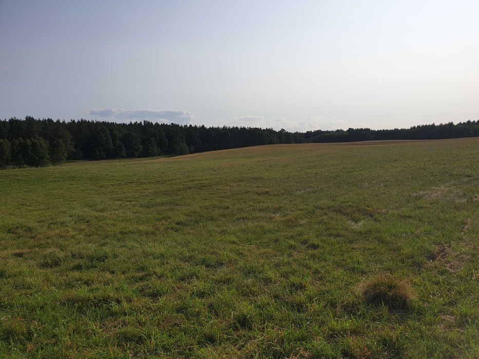 Działka rolna Sierakowo Sławieńskie. Zdjęcie 1