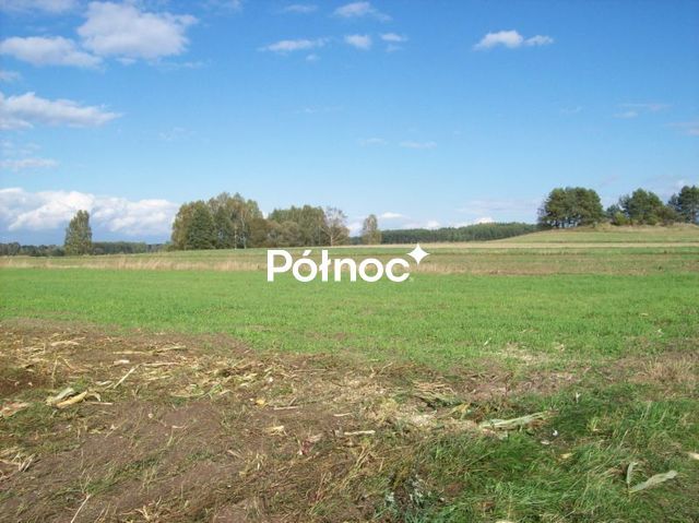 Działka rolna Janowicze. Zdjęcie 2