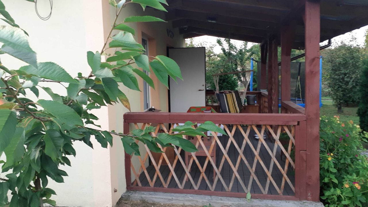 Działka rod Żychlin. Zdjęcie 5