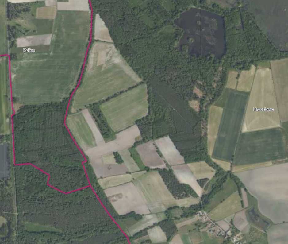 Działka rolna Brzostowo. Zdjęcie 4
