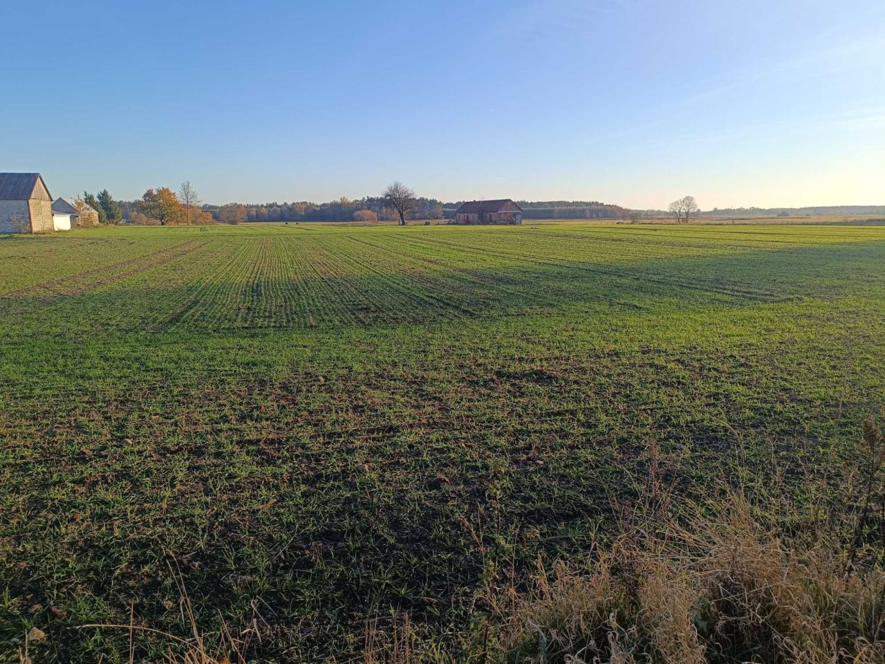 Działka budowlana Dokudów Pierwszy