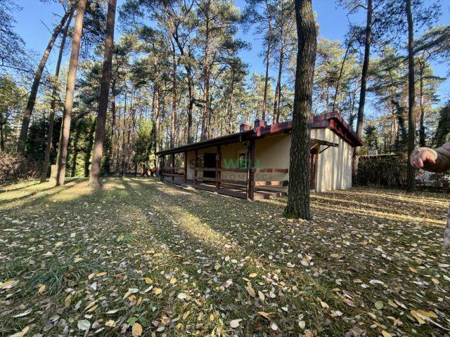 Działka budowlana Sokolniki-Las, ul. Mikołaja Kopernika. Zdjęcie 4