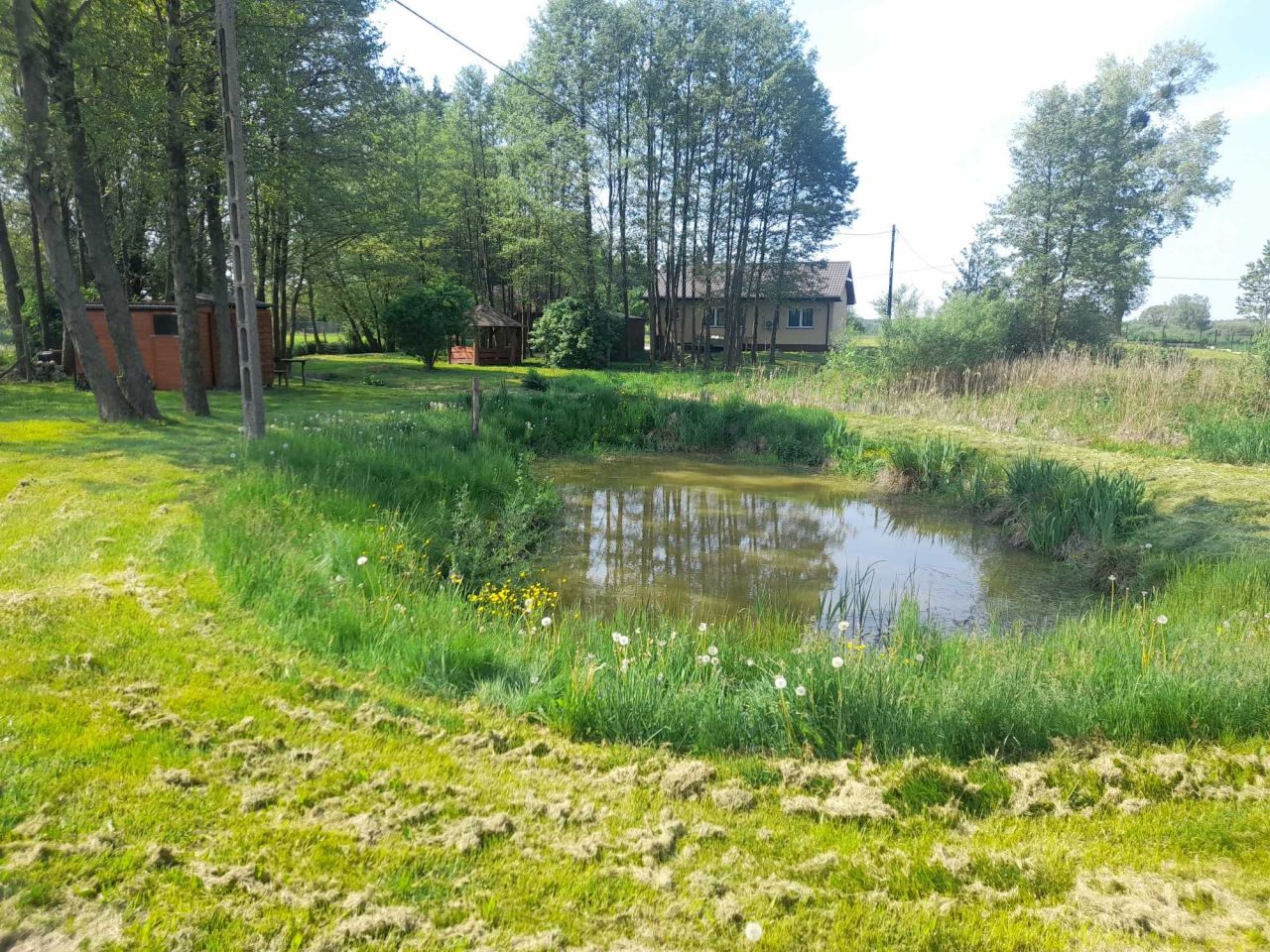 dom wolnostojący Łąkie. Zdjęcie 6