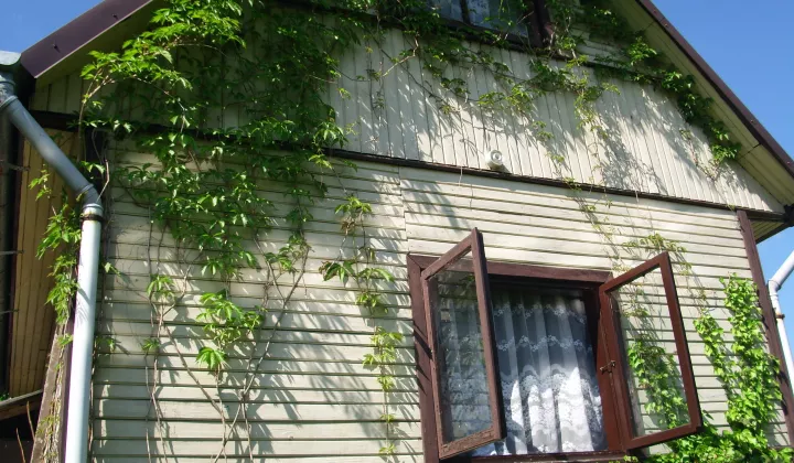 Działka rod Białystok Dojlidy, ul. Dojnowska