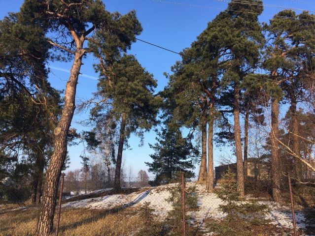 Działka budowlana Ostrów Wielkopolski Pruślin, ul. Cisowa. Zdjęcie 1