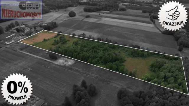 Działka rolno-budowlana Papiernia. Zdjęcie 2