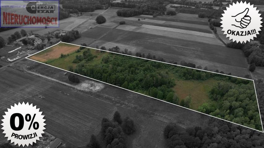 Działka rolno-budowlana Papiernia. Zdjęcie 2