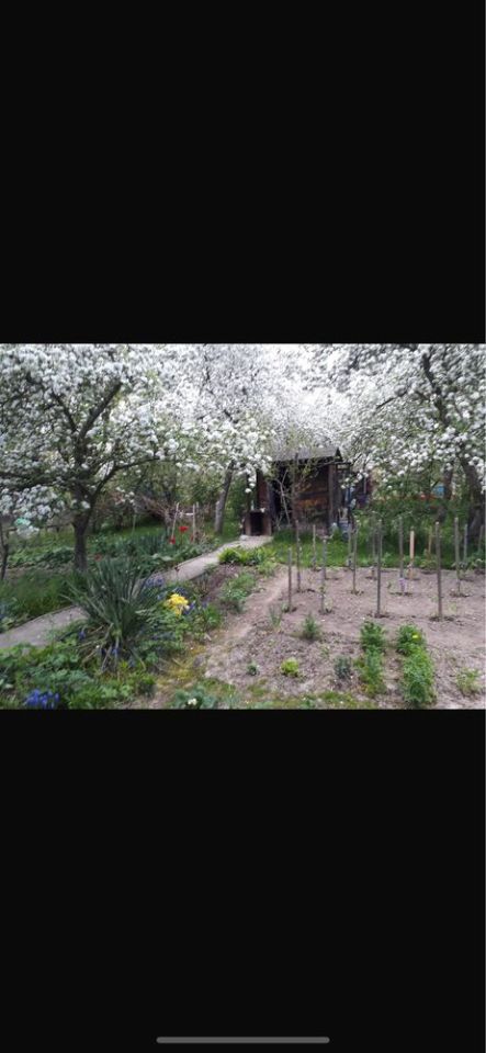 Działka rod Świdnica, ul. Podmiejska. Zdjęcie 3