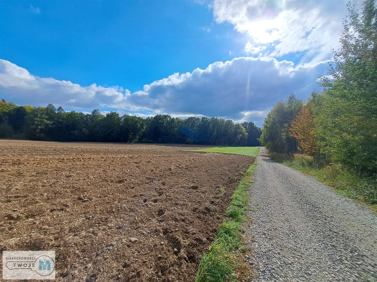 Działka siedliskowa Sędek. Zdjęcie 4