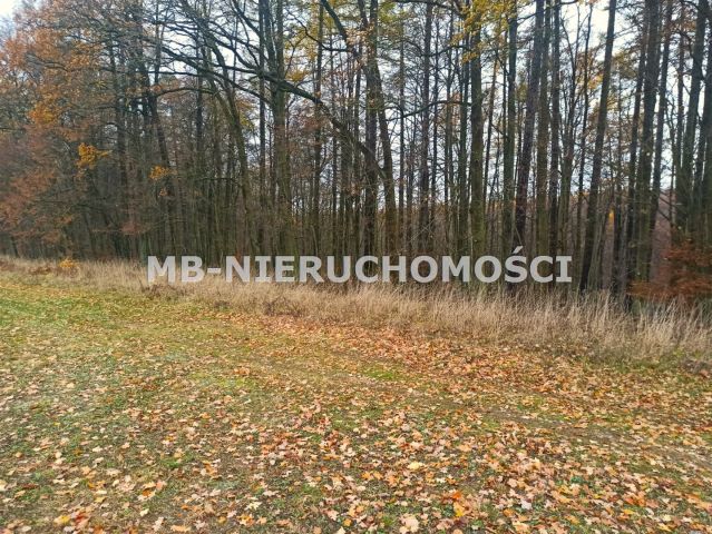 Działka rekreacyjna Skarpa. Zdjęcie 8